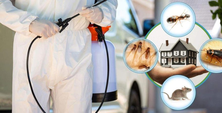 Koyulhisar Böcek İlaçlama