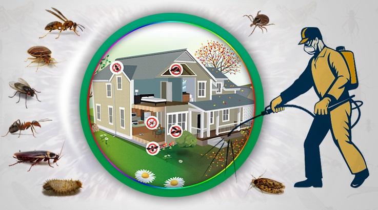 Koyulhisar Böcek İlaçlama