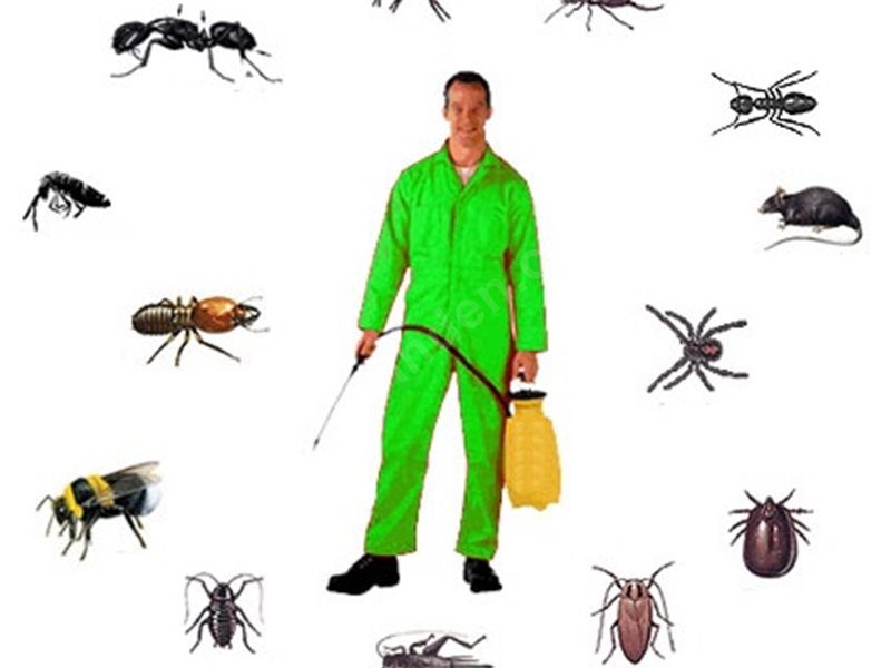 Koyulhisar Böcek İlaçlama